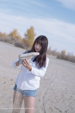 和离 九鹭非香